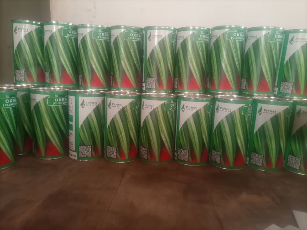 Seed processing and sorting
