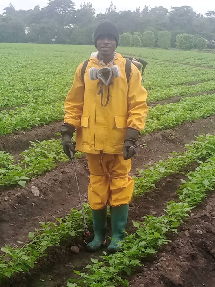 Farmer portrait